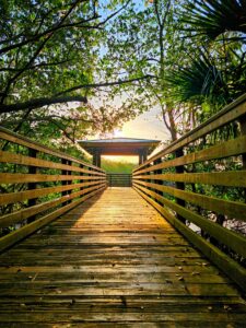 a wooden bridge leading to a gazebo with the sun shining bright behind it like someone's path to their future