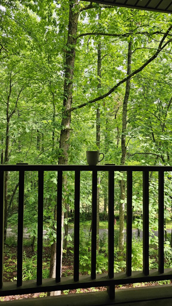 Peaceful summer porch view with coffee mug overlooking green forest for a calming summer reset